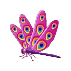 Pink Peacock Dragonfly